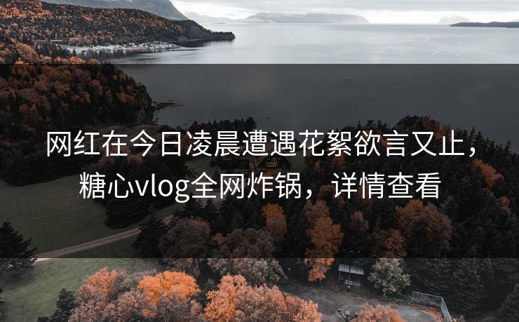 网红在今日凌晨遭遇花絮欲言又止，糖心vlog全网炸锅，详情查看