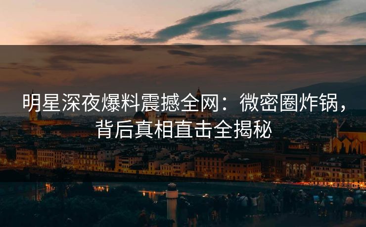 明星深夜爆料震撼全网：微密圈炸锅，背后真相直击全揭秘
